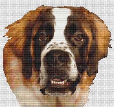 (image for) Saint Bernard II